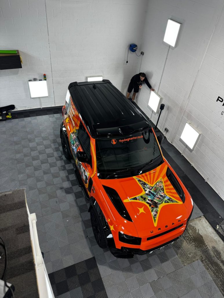 Dog mentor - Defender view from top.