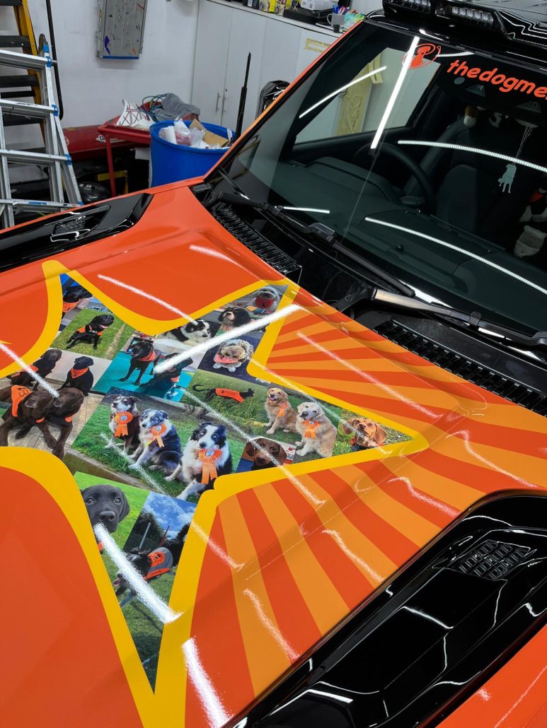 Dog mentor - Defender bonnet view