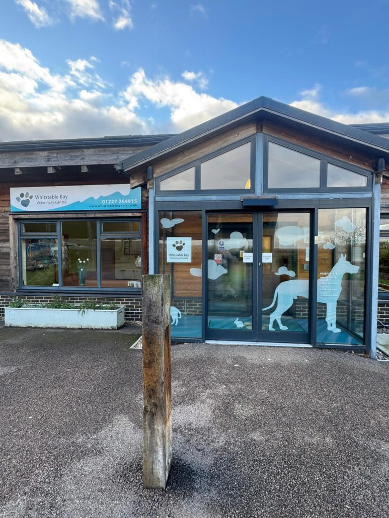 Whitstable Bay Veterinary Multiple Signage 3 - Prestige Graphics Kent Whitstable Vets Unit